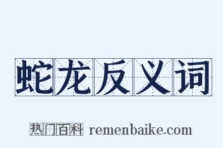 蛇龙反义词是什么意思的图片